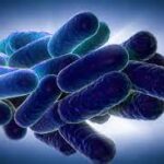 Legionnaires' source of the outbreak is linked to grand rapids in Minnesota, as since April 2023, 14 cases have been reported of the dangerous disease.