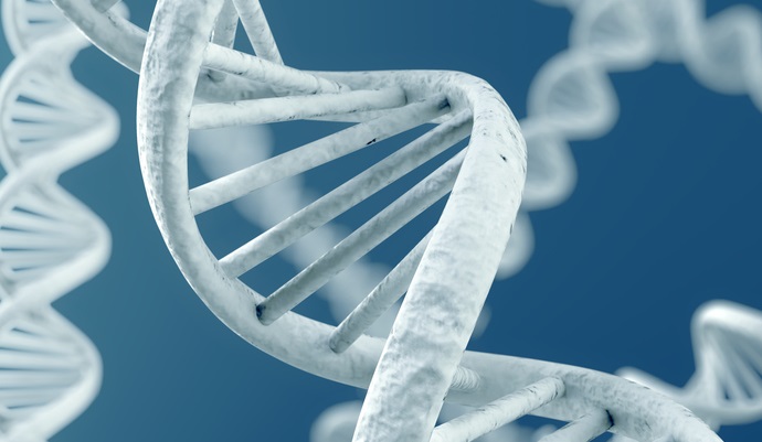 275 million newly developed genetic variations